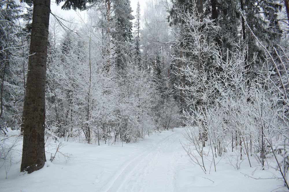 Photograph by Сергей Головин