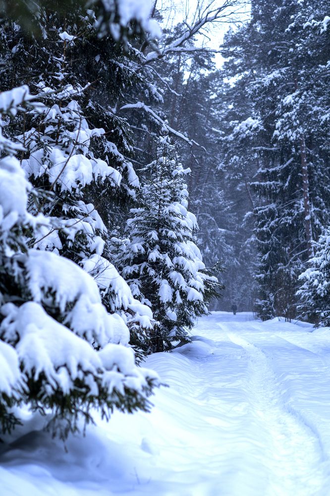 Photograph by Оксана Туркина