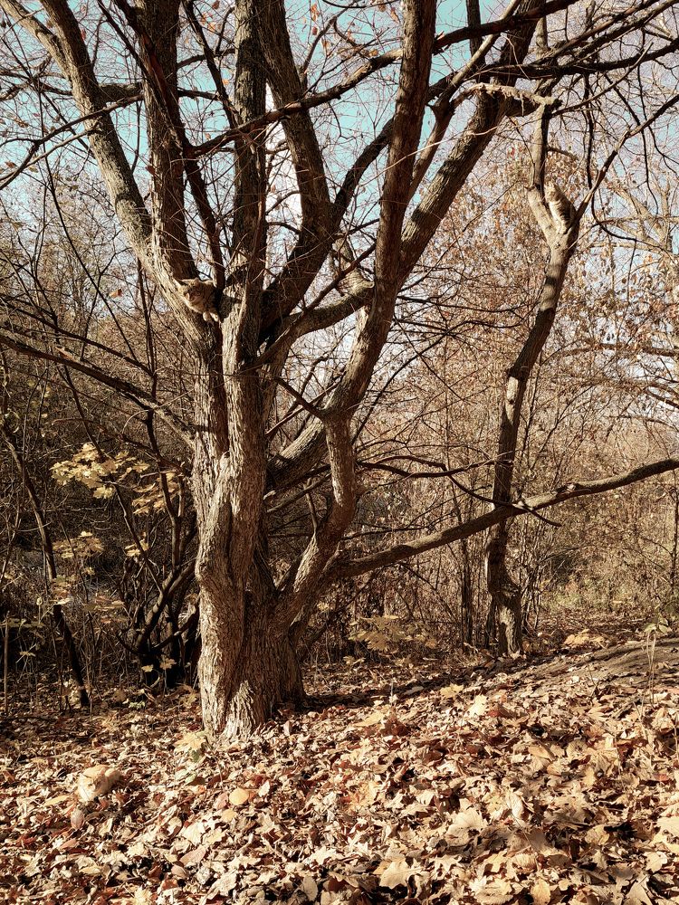 Photograph by Anastasiia