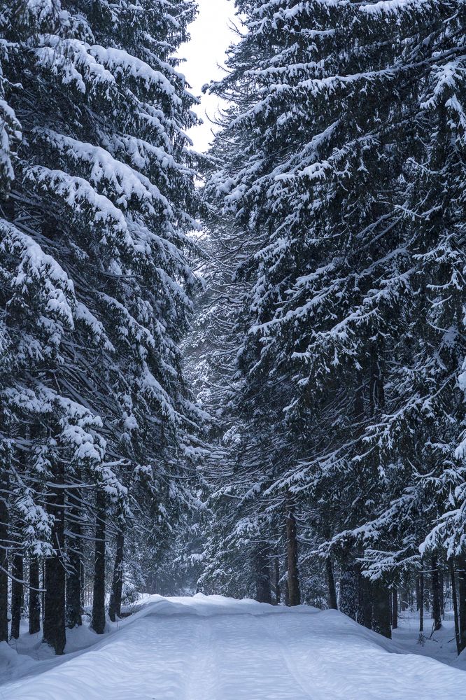 Photograph by Оксана Туркина