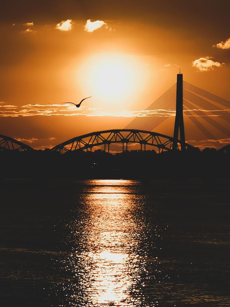 Фотография автора Дмитрий Лебедь