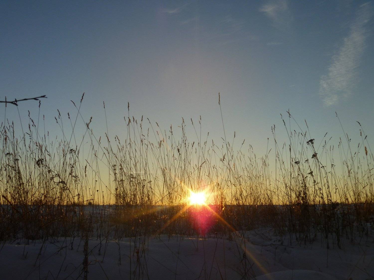 Photo #5730743