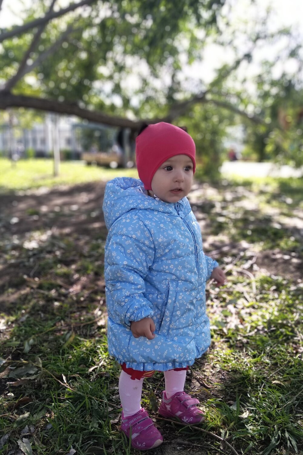 первые шаги