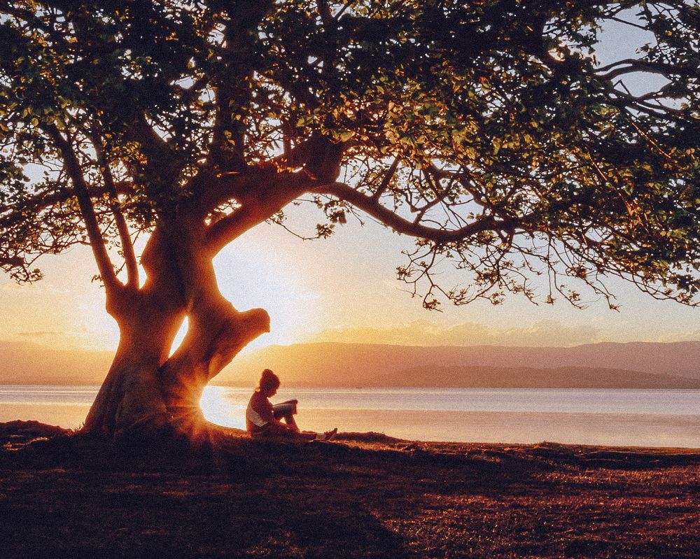 Photograph by Hongxiang Hu