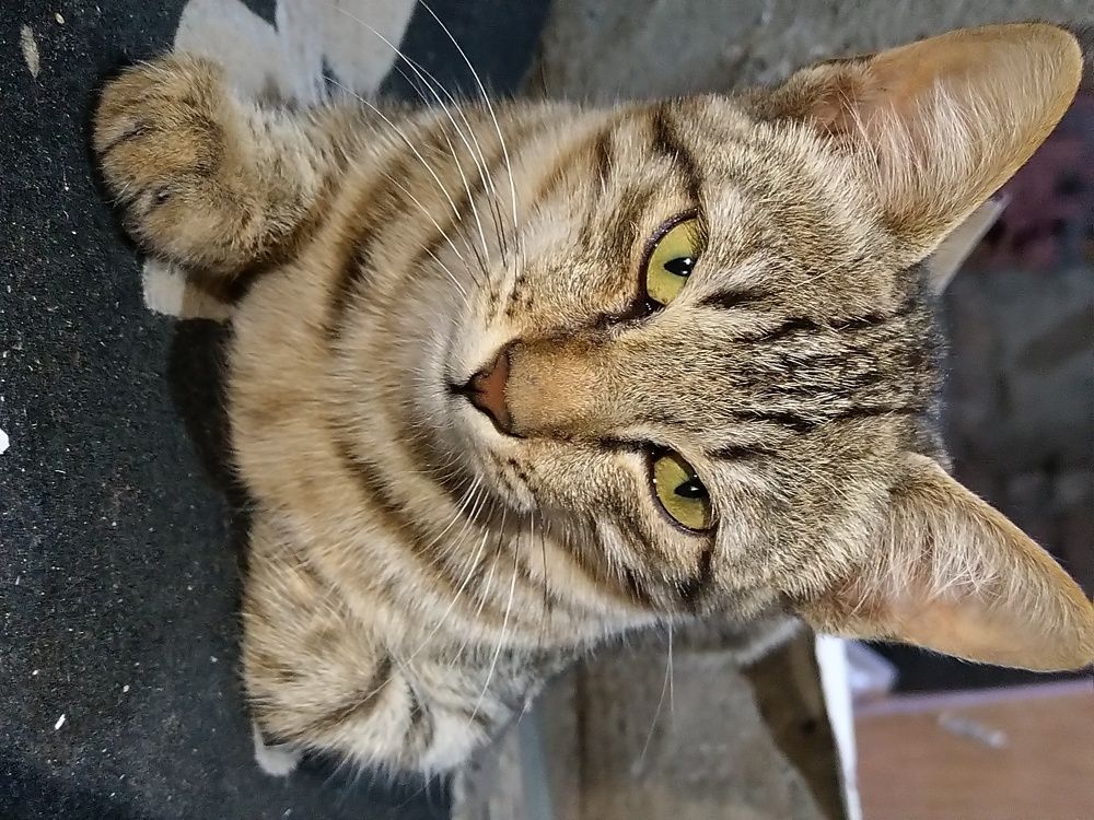 Photograph by sumit sitole