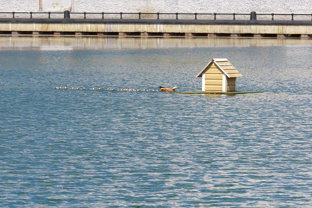 Photograph by Юрий Поздников