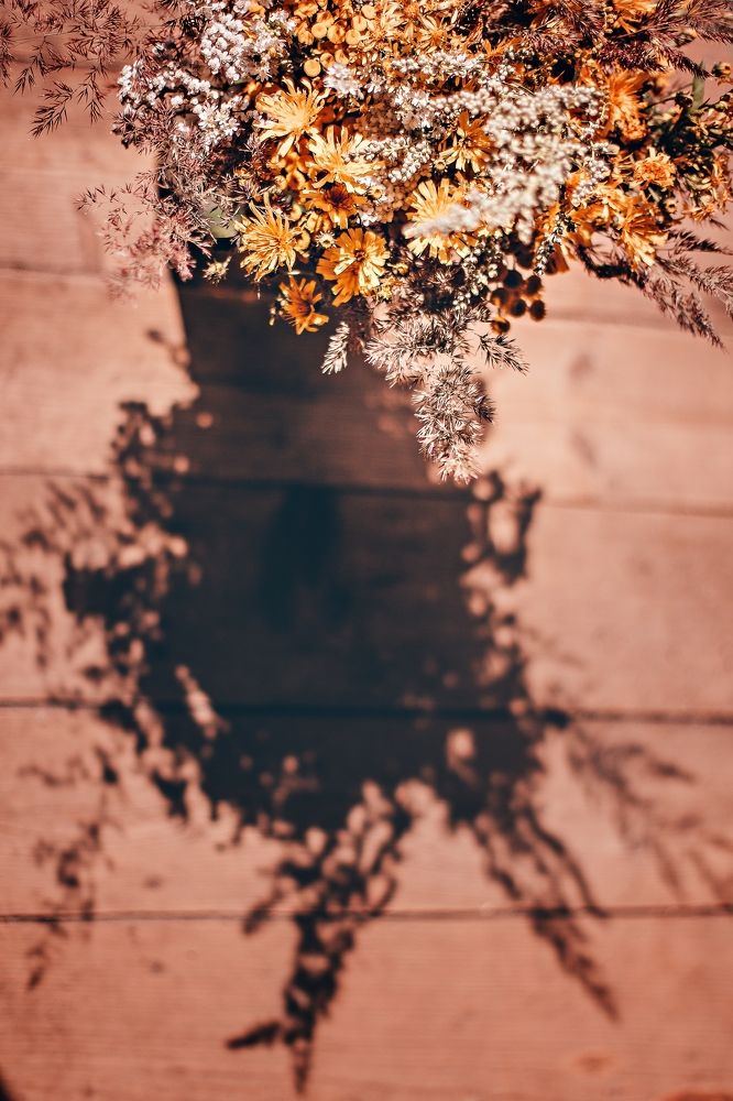 Photograph by Анна Кесарева