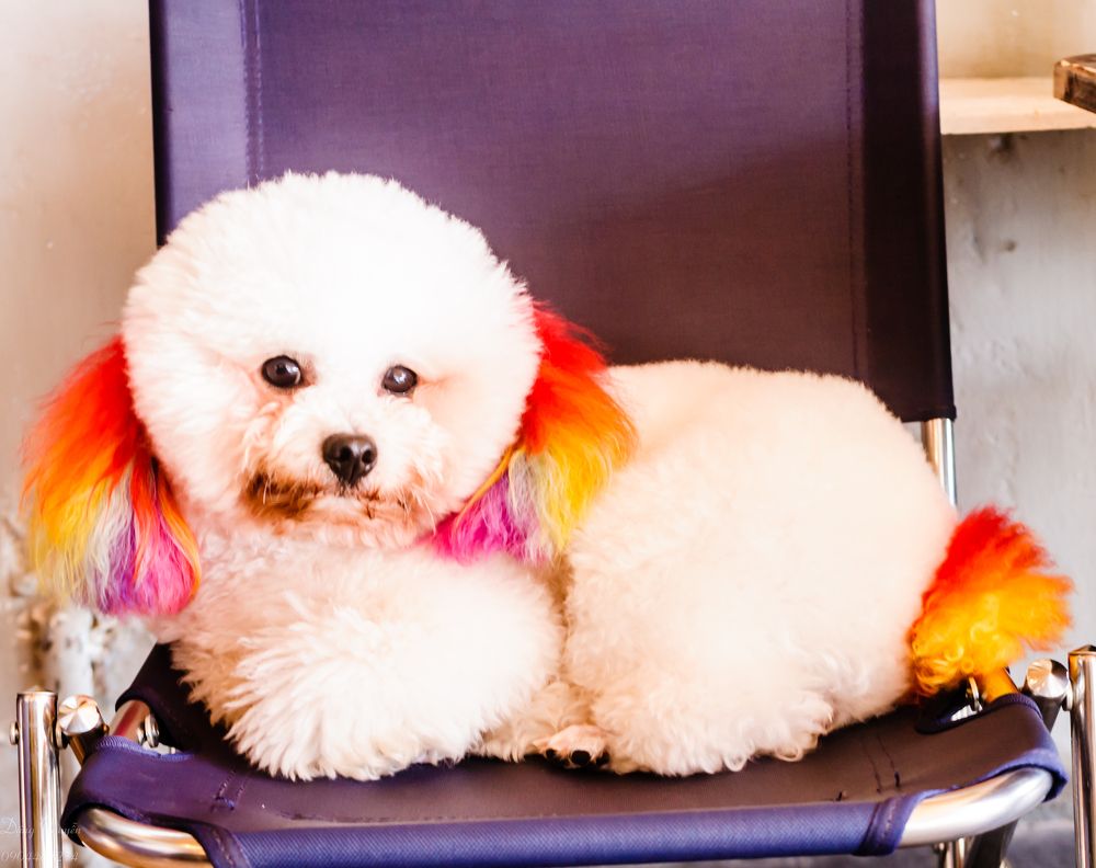 Фотография автора Nguyễn Dặng