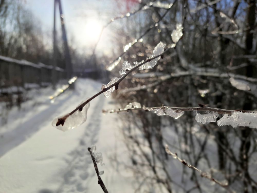 Photograph by Алексей Окороков