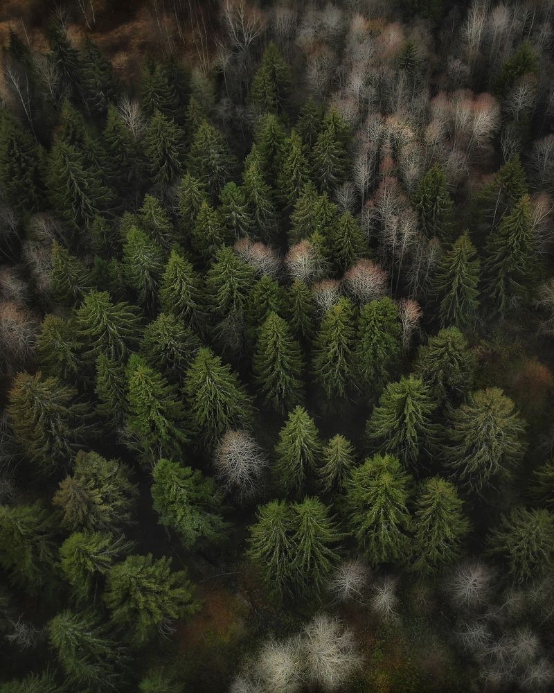 Photograph by Сергей Протасов