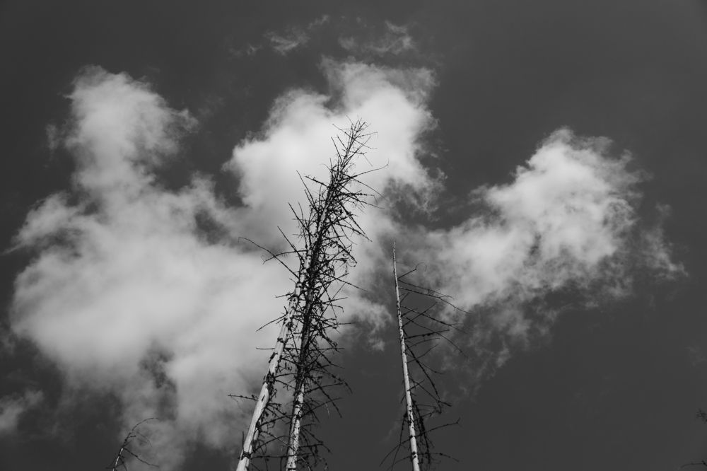 Photograph by Dinel Teodorescu