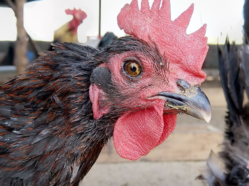 Photograph by sumit sitole