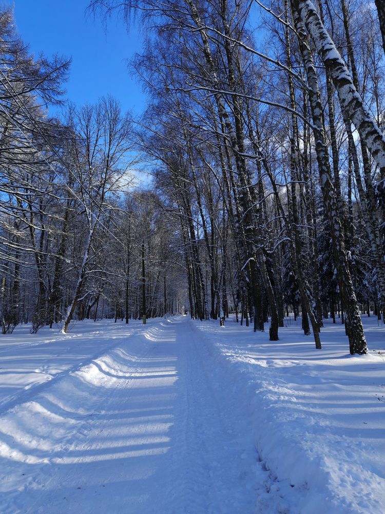 Photograph by Алексей Окороков