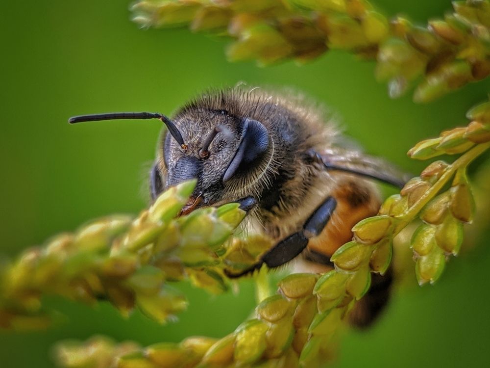 Photograph by Ipunk Agus Setiawan