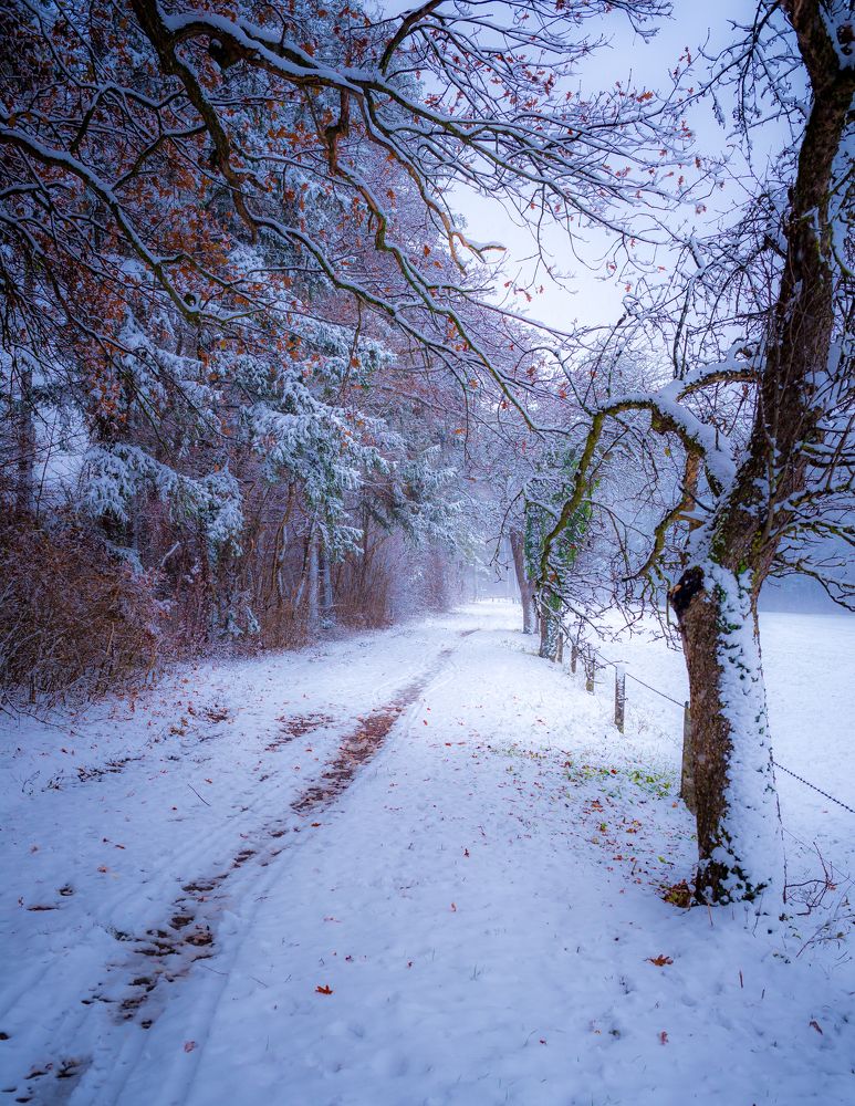 Фотография автора Kristijan Males