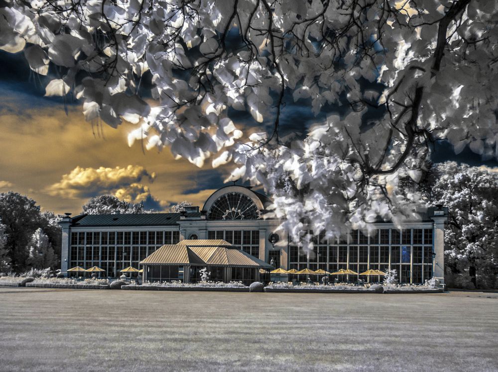 Photograph by Robert Oldakowski