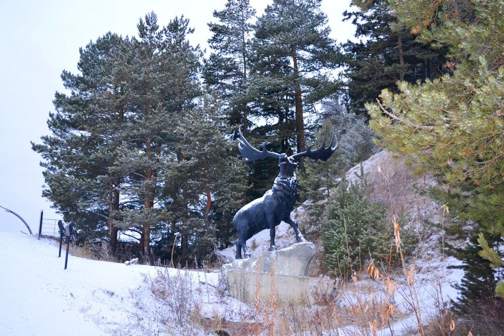 зимний парк