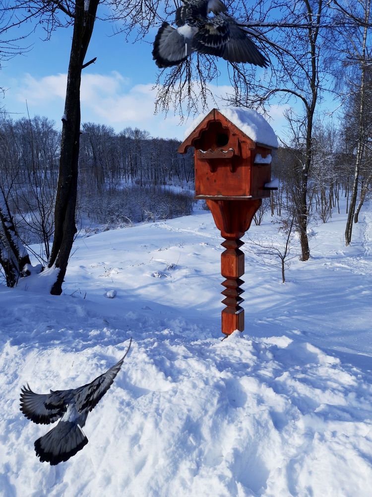 Photograph by Алексей Окороков