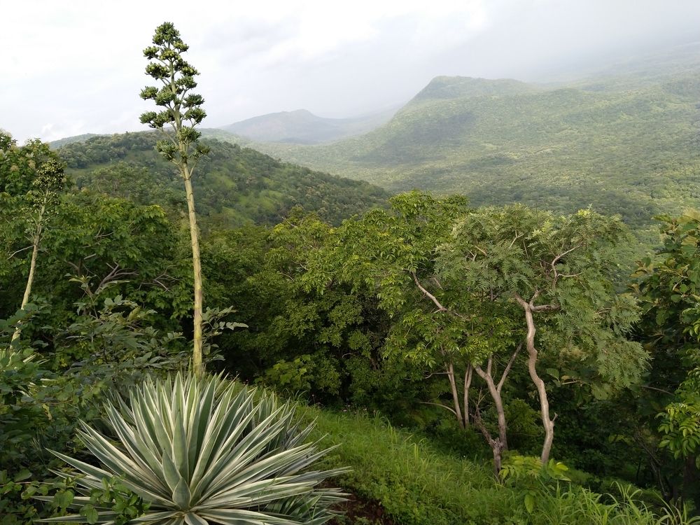 Photograph by sumit sitole