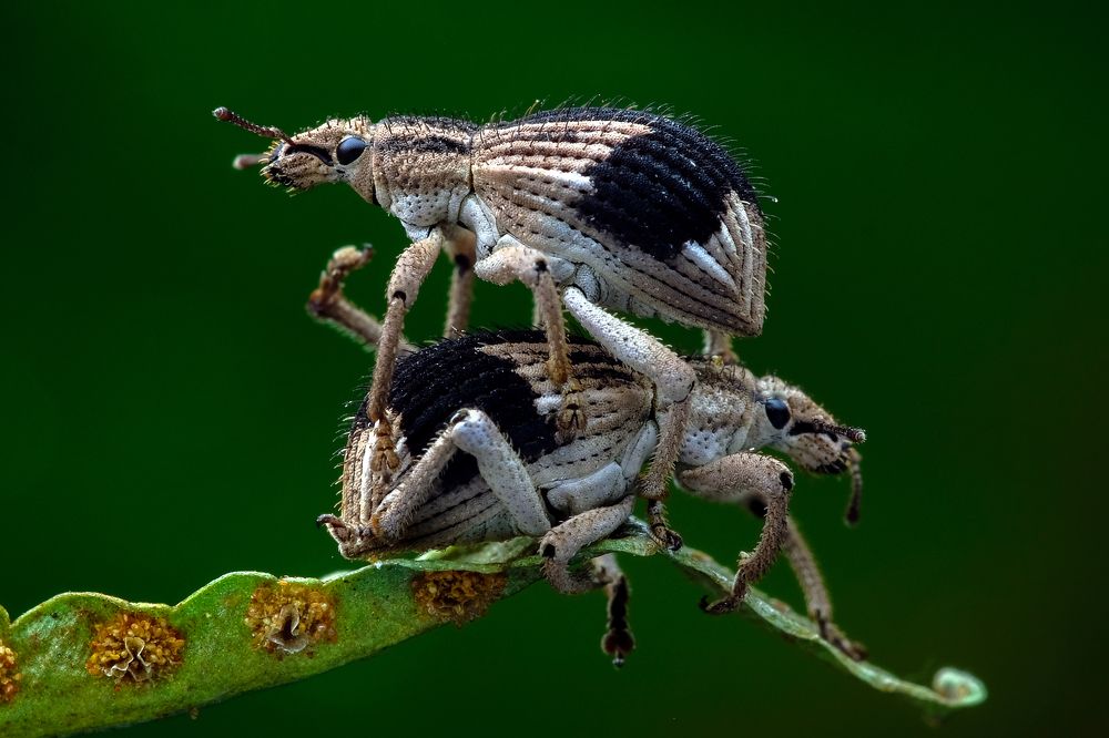 Photograph by KAIYEN LEE