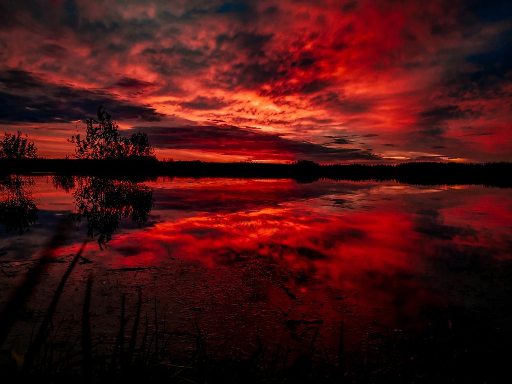 Photograph by Светлана Перминова