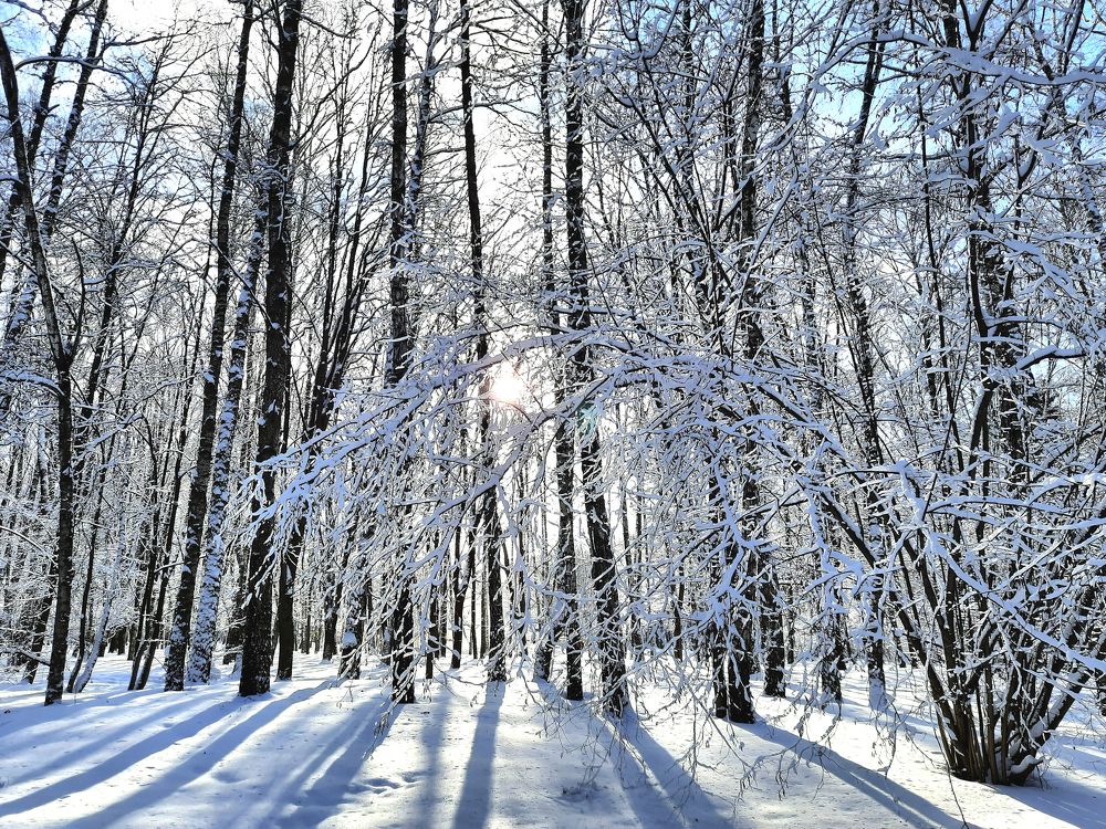 Photograph by Алексей Окороков