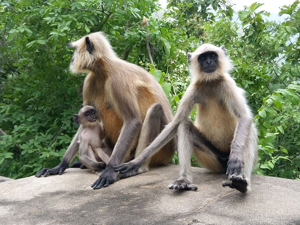 Photograph by sumit sitole