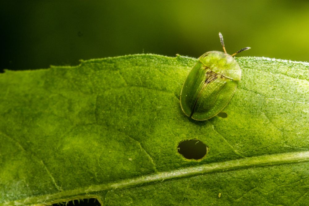 Photograph by Сергей Дикарев