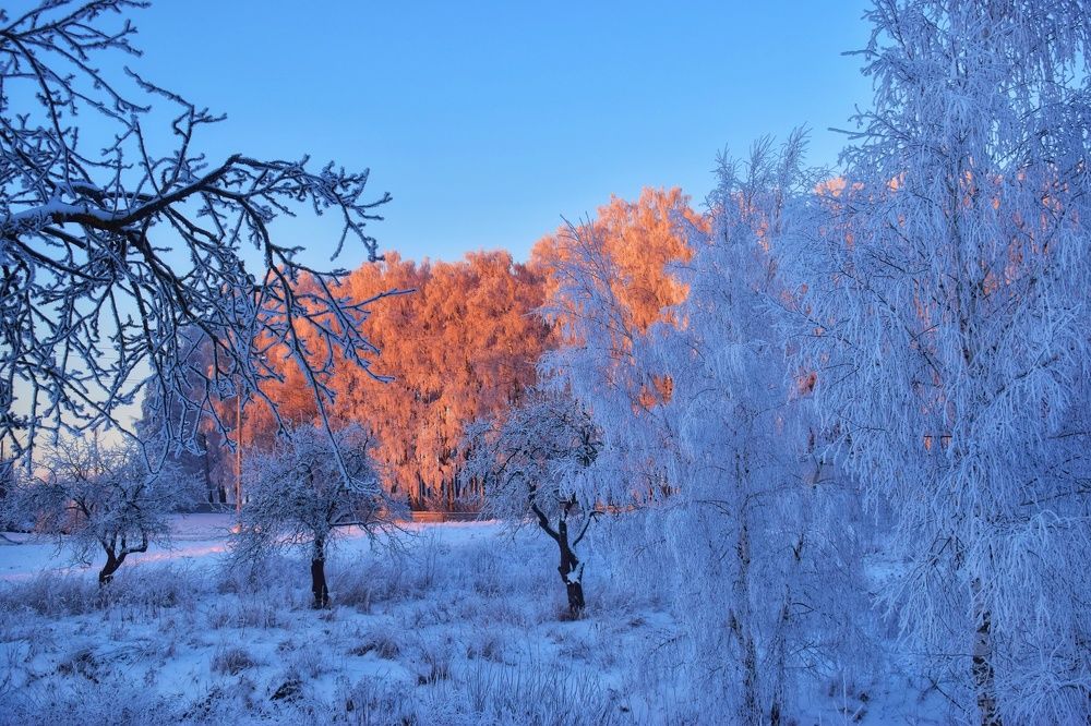 Photograph by Алеся Цеван