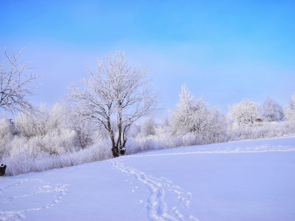 Photograph by Алеся Цеван