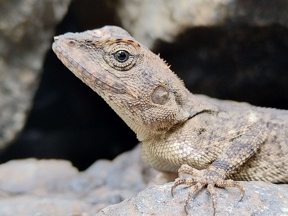 Photograph by sumit sitole