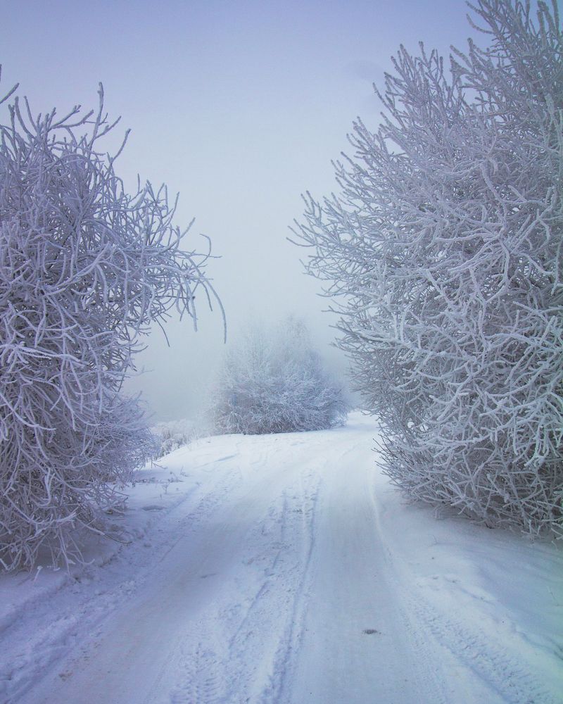 Photograph by Евгения Сосновская