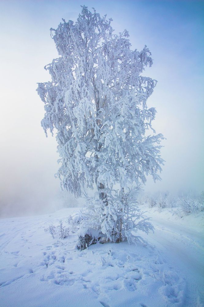 Photograph by Евгения Сосновская