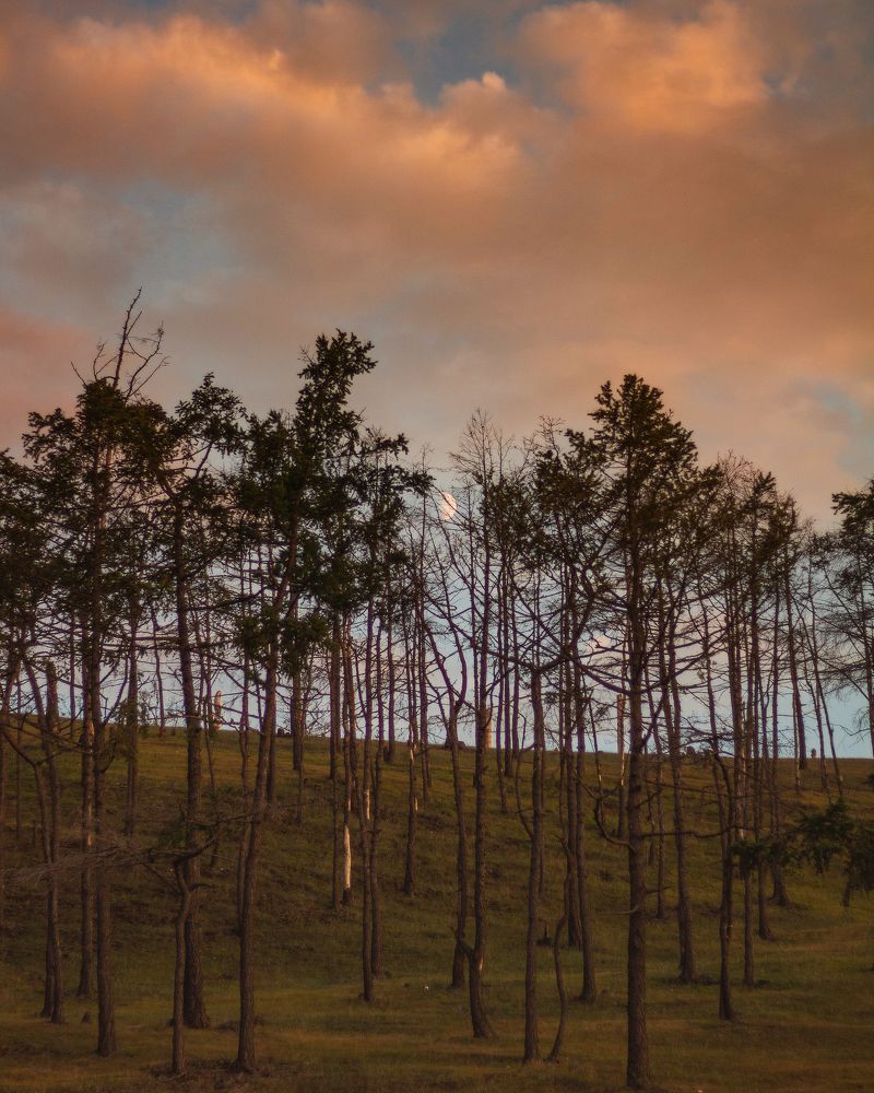 Photograph by Евгения Сосновская