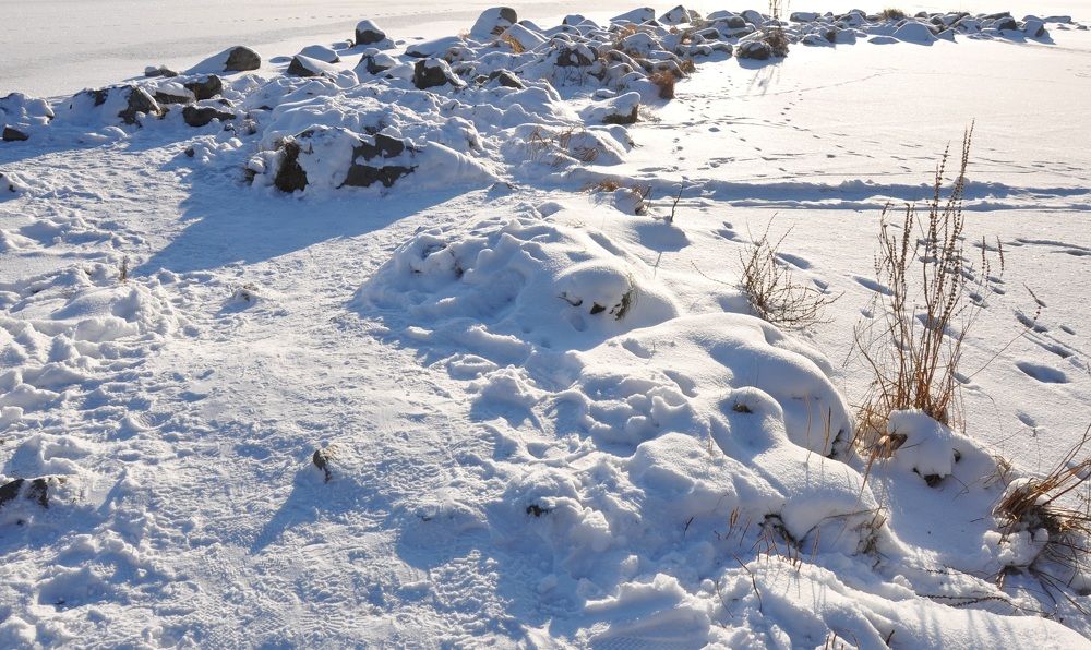 Photograph by Валерия Перфильева