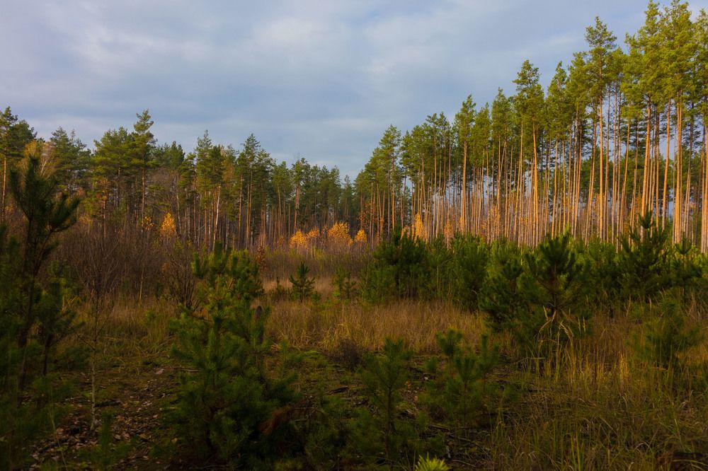 Photograph by Михаил Кобелюк