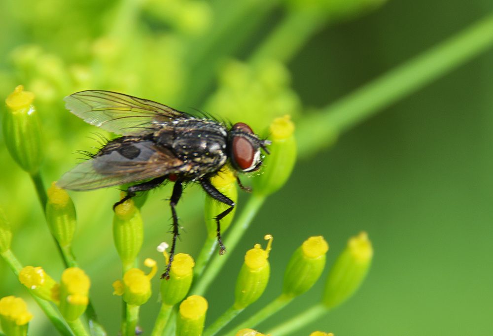 Photograph by Irina Nazarova