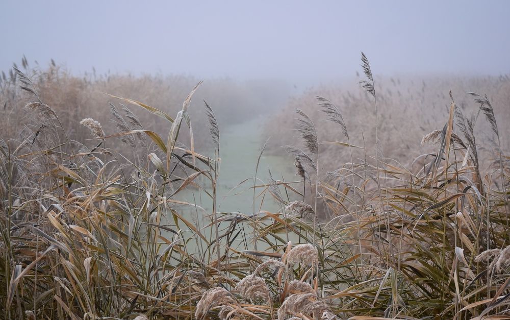 Photograph by Екатерина Шлехт