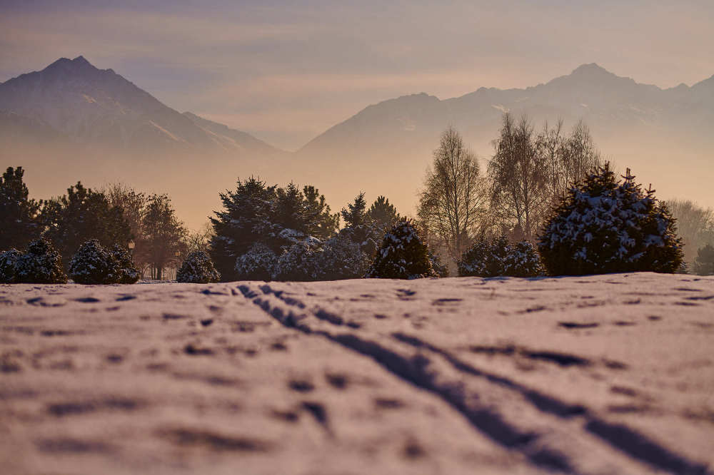 Photograph by Михаил Ноеренчук