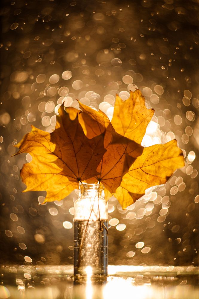 Photograph by Антон Барановский