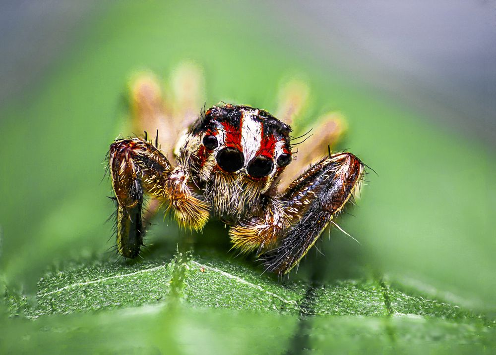 Photograph by Wahid Ferdoush