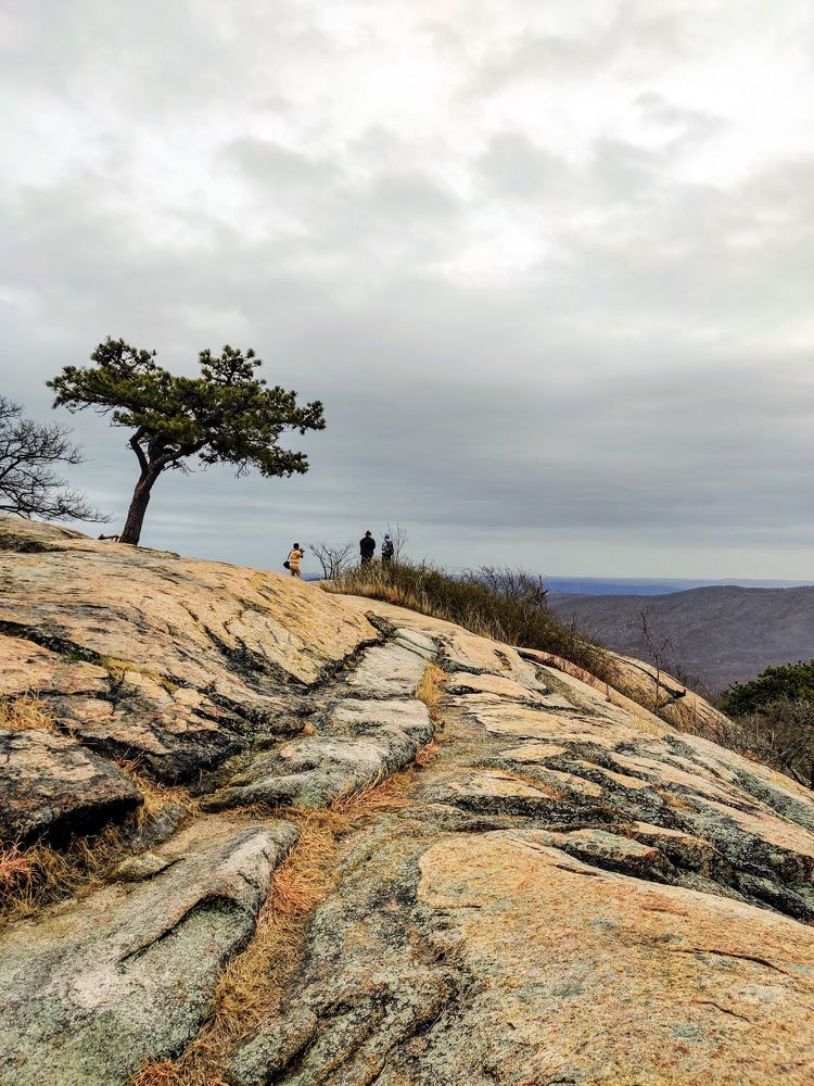 Photograph by Елена Башмакова