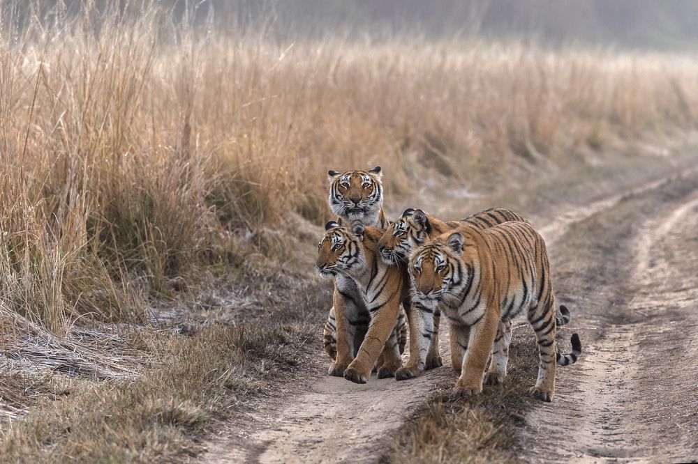 Photograph by Jitender Govindani