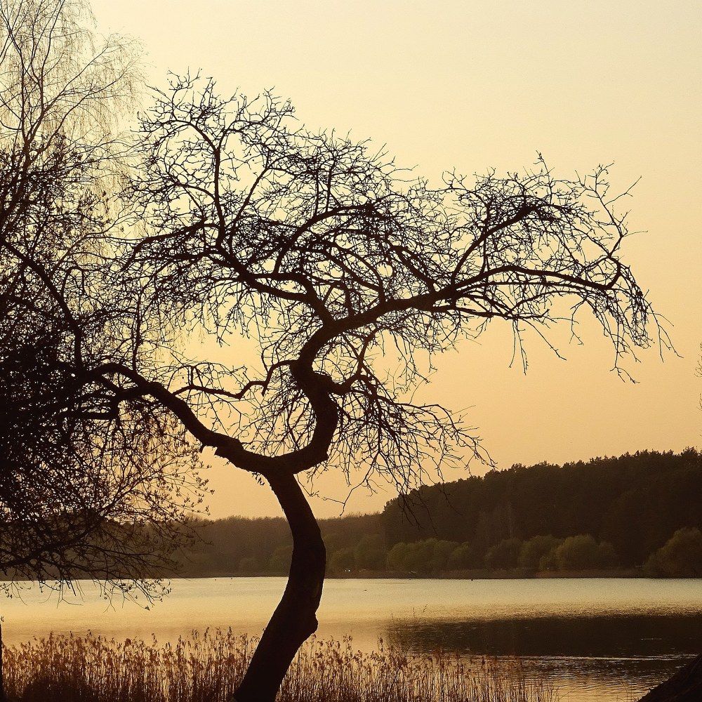 Медитация на закате.