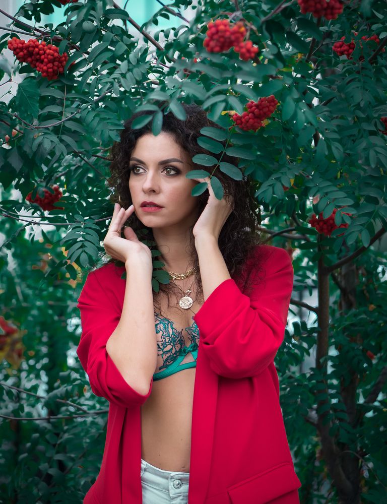 Рябина красная