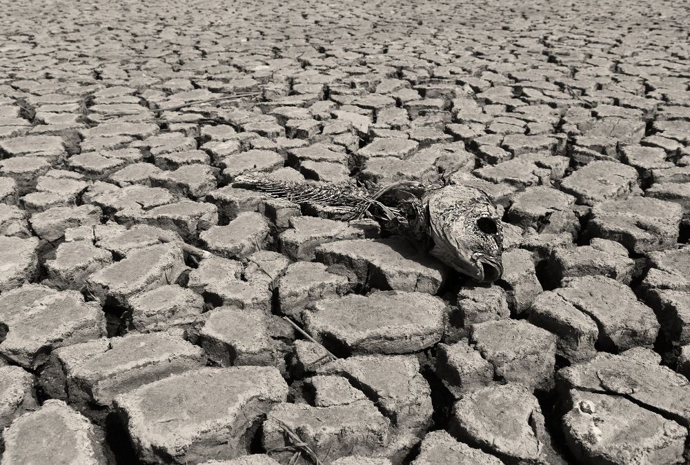 Photograph by Анна Татаренко