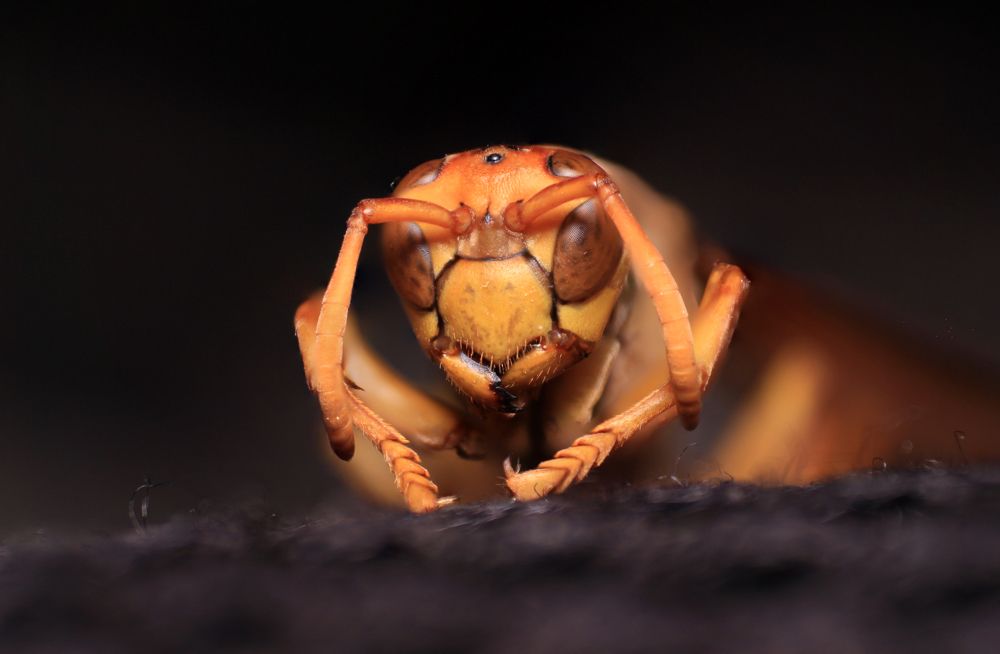 Photograph by Wahid Ferdoush