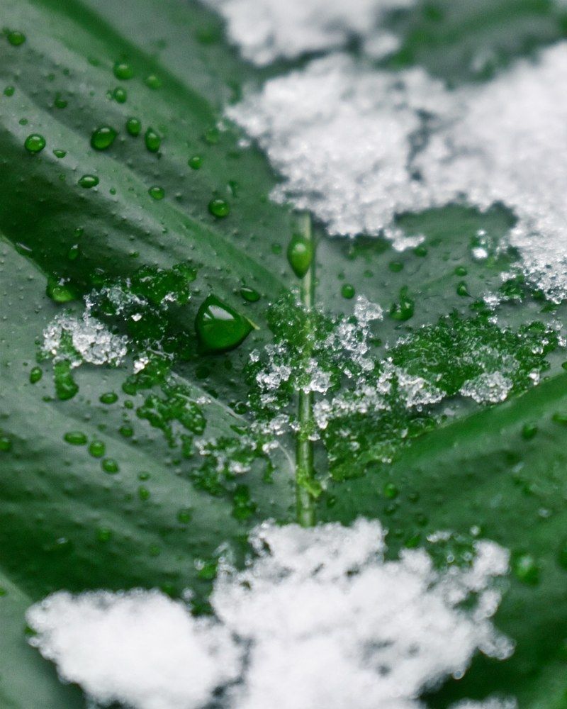 Наслаждайся летом своей жизни — за ним всегда идет зима.