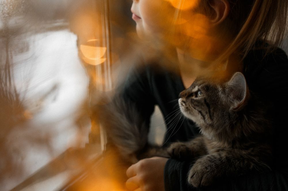 Photograph by Марина Подольская