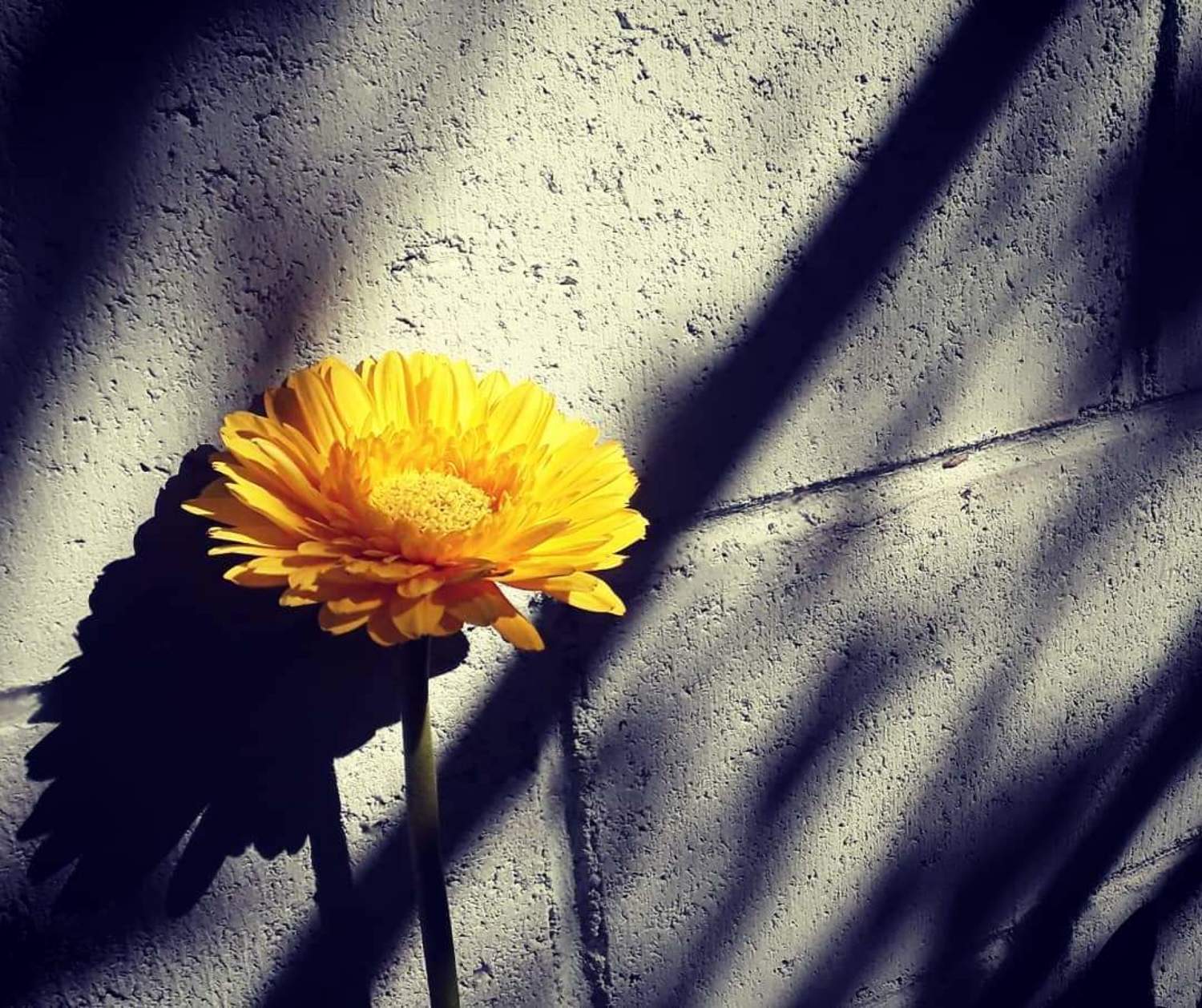 Melancolía